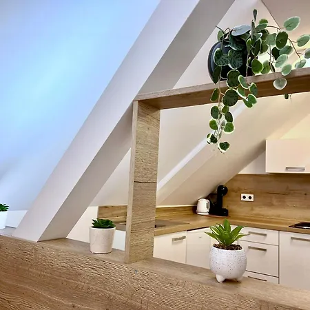 Apartmán U Bobovky - *